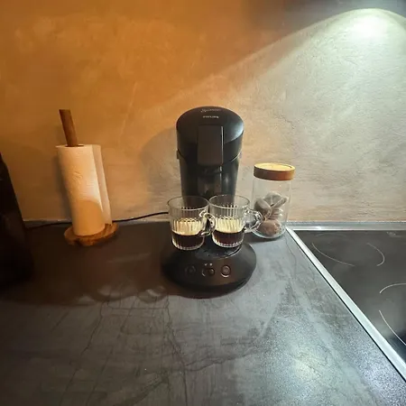 Cosy Et Lumineux Pres De Pairi Daiza *