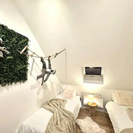 Cosy Et Lumineux Pres De Pairi Daiza