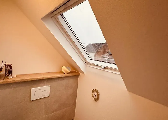 Cosy Et Lumineux Pres De Pairi Daiza *