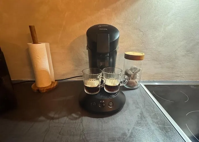 Cosy Et Lumineux Pres De Pairi Daiza *