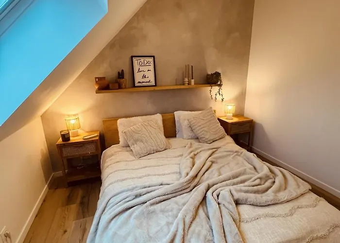 Appartement Cosy Et Lumineux Pres De Pairi Daiza *